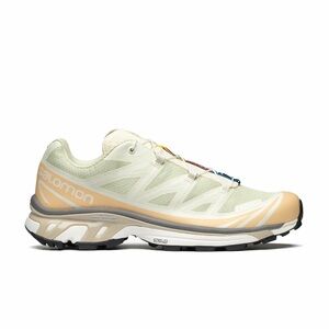 Salomon XT-6 Aloe Wash and Hazelnut